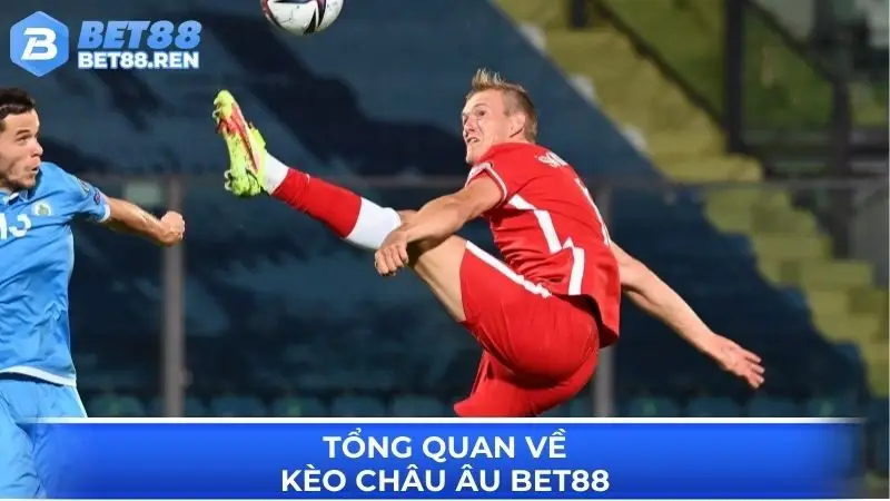 Tổng quan về kèo Châu Âu Bet88