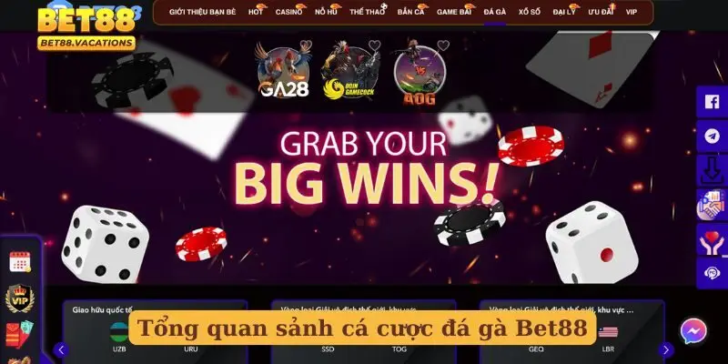 Tổng quan sảnh cá cược đá gà Bet88
