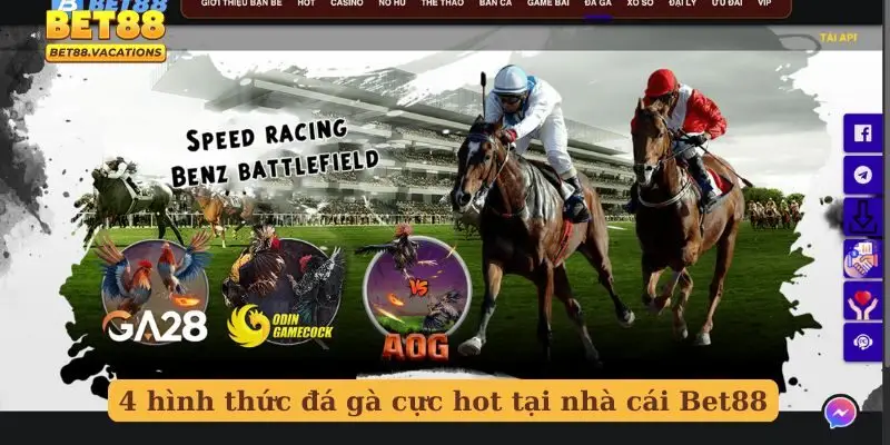 4 hình thức đá gà cực hot tại nhà cái Bet88