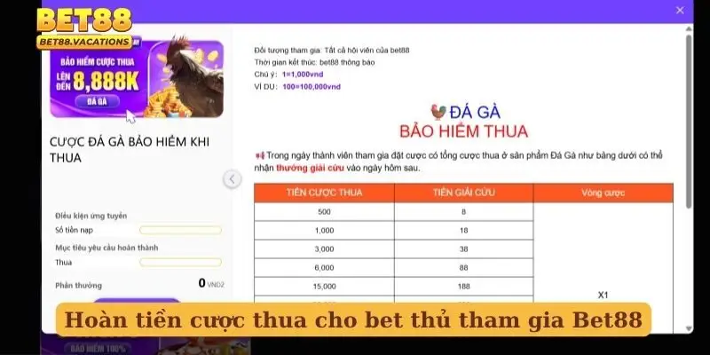 Hoàn tiền cược thua cho bet thủ tham gia Bet88